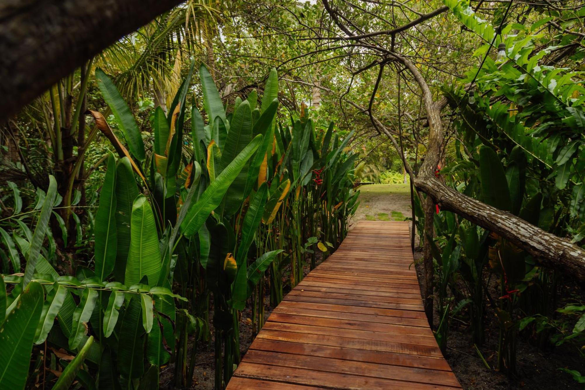 Solea Villa Tropical 圣玛尔塔 外观 照片